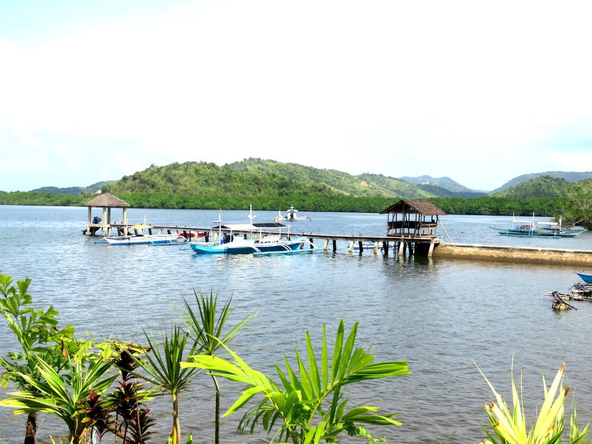 Bella Louise Lodging House Bar And Resto Busuanga Exterior photo
